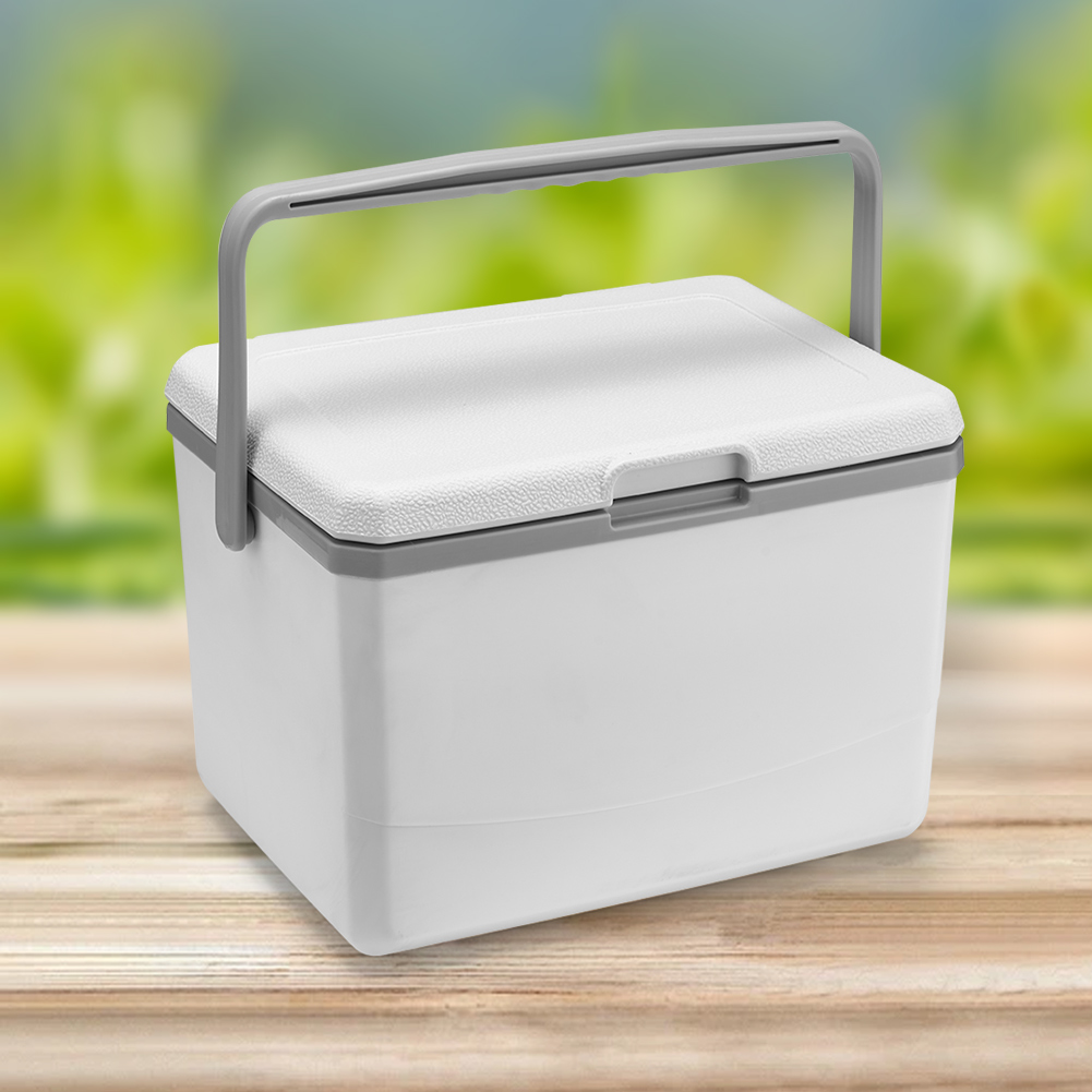 Food Storage In Cooler - 5L Camping Car Refrigerator with Handle