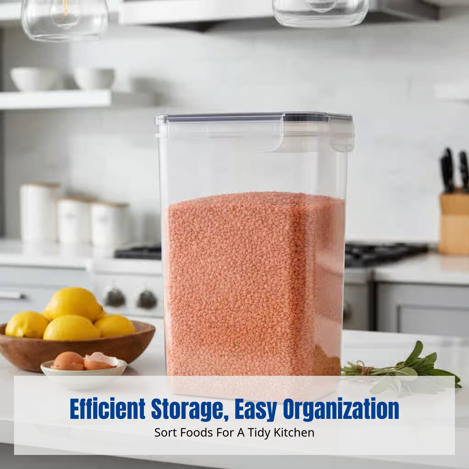 Airtight Food Storage Containe - Set Food Storage avaliação e preço