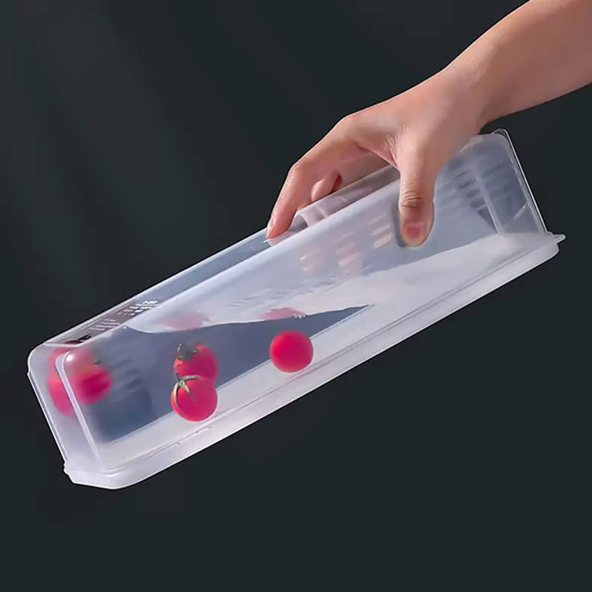 1 Plastic Transparent Storage  - Food Storage Order avaliação e preço